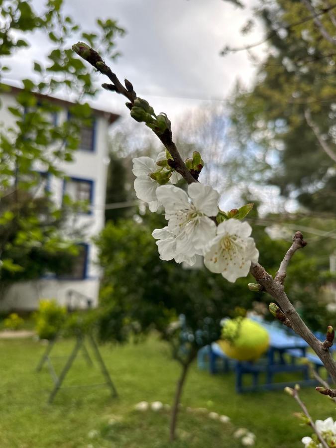 Sakliderebutikotel Edremit (Balikesir) Exterior foto